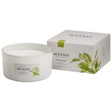 Bolsius glāzē Tea for one 3 degļi aromātiskā svece